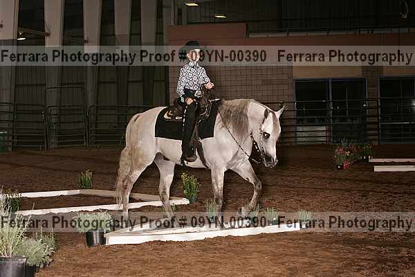 Proof 09yn-00390