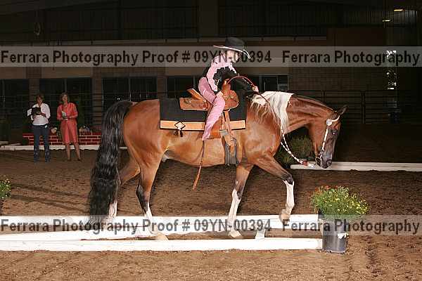 Proof 09yn-00394
