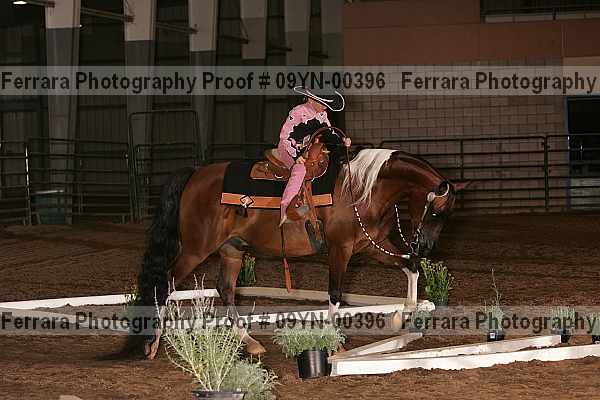 Proof 09yn-00396