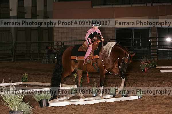 Proof 09yn-00397