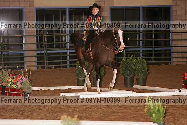 Proof 09yn-00399