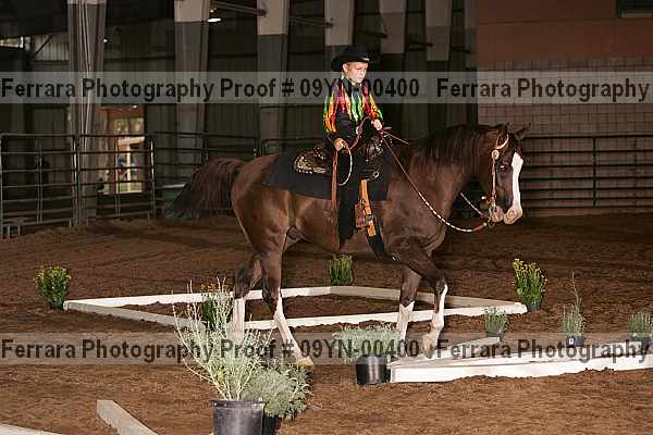 Proof 09yn-00400