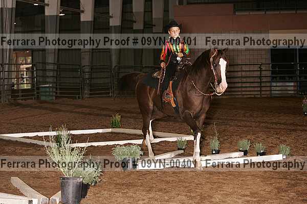 Proof 09yn-00401