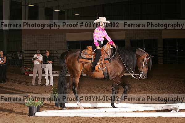Proof 09yn-00402
