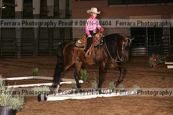 Proof 09yn-00404