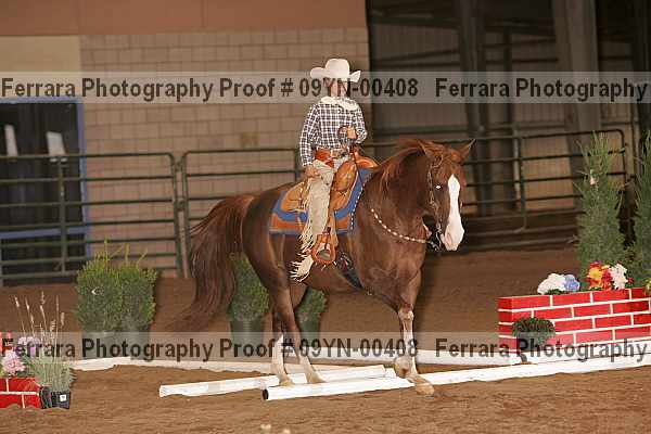 Proof 09yn-00408
