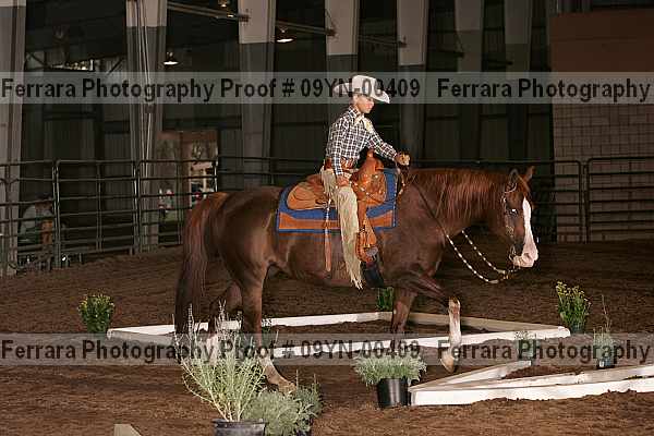 Proof 09yn-00409