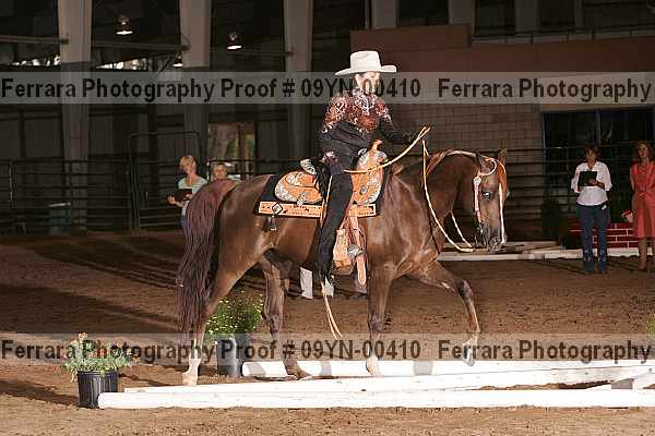 Proof 09yn-00410