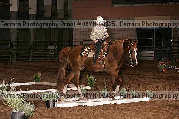 Proof 09yn-00425