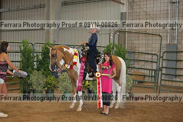 Proof 09yn-00826