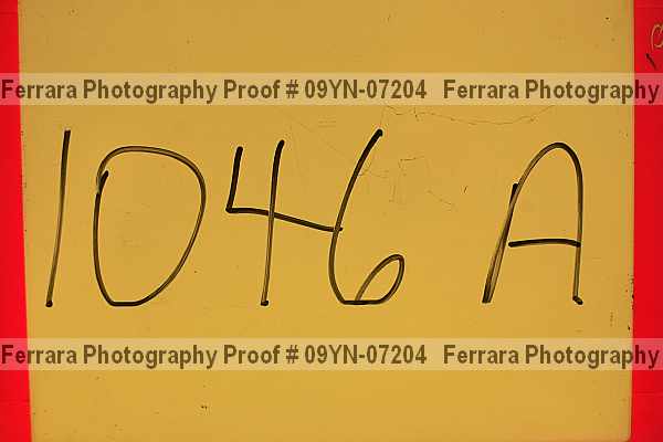 Proof 09yn-07204