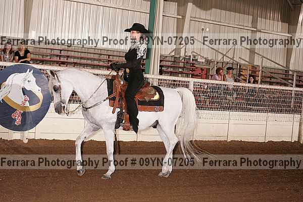 Proof 09yn-07205