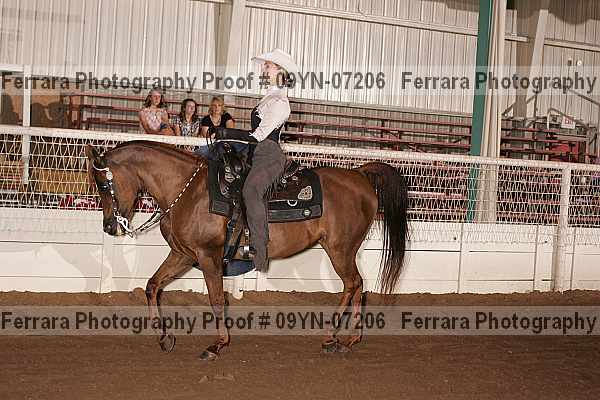 Proof 09yn-07206
