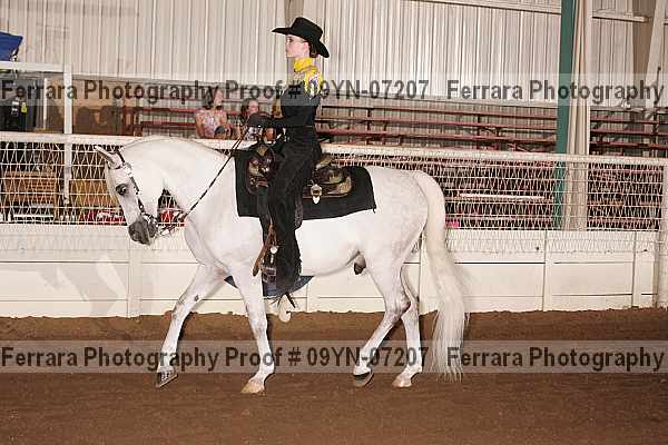 Proof 09yn-07207