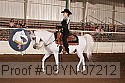 09yn-07212 proof