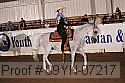 09yn-07217 proof