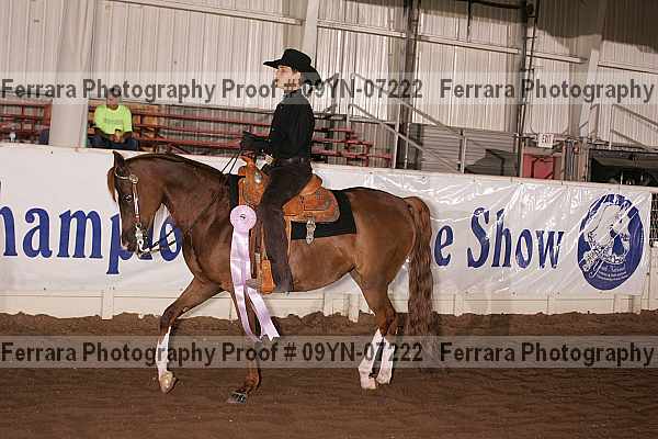 Proof 09yn-07222