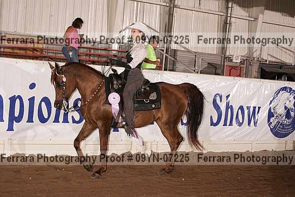 Proof 09yn-07225