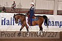 09yn-07227 proof