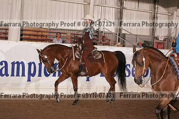 Proof 09yn-07331