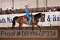 09yn-07334 proof
