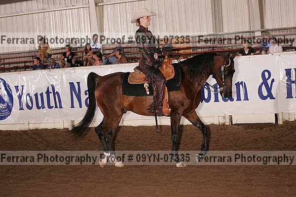 Proof 09yn-07335