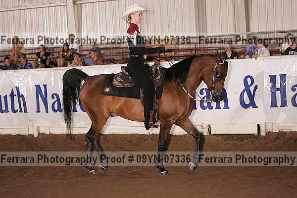 Proof 09yn-07336