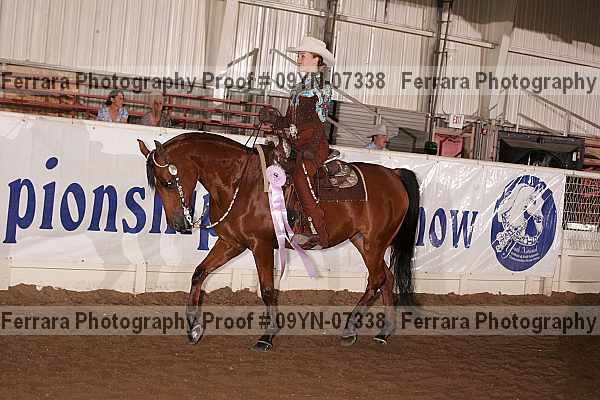 Proof 09yn-07338