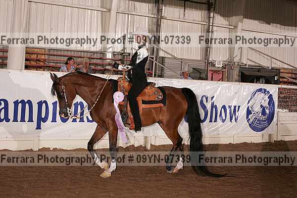 Proof 09yn-07339