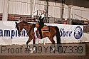 09yn-07339 proof