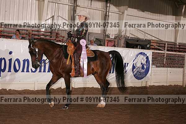 Proof 09yn-07345