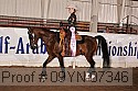 09yn-07346 proof