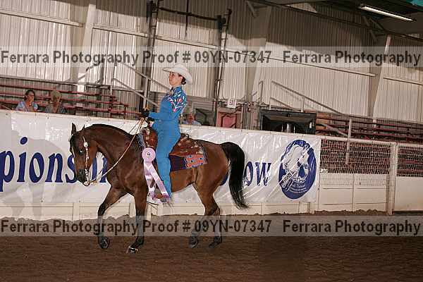Proof 09yn-07347