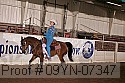 09yn-07347 proof