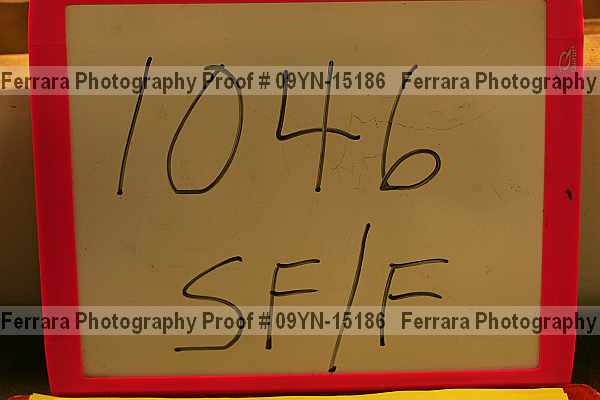 Proof 09yn-15186