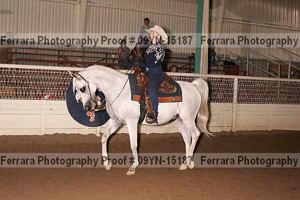 Proof 09yn-15187