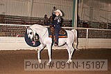 09yn-15187 proof