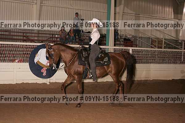 Proof 09yn-15188