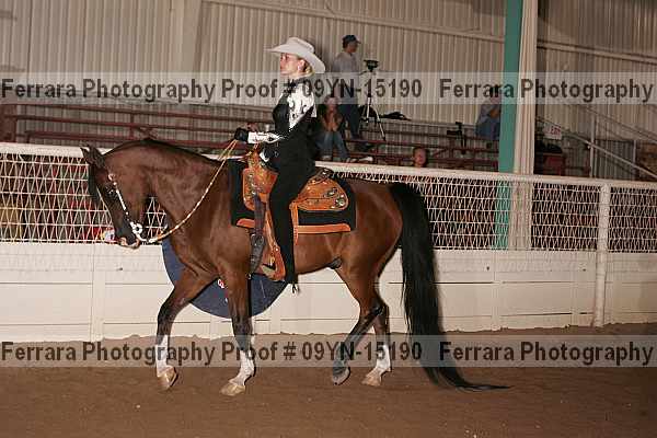 Proof 09yn-15190