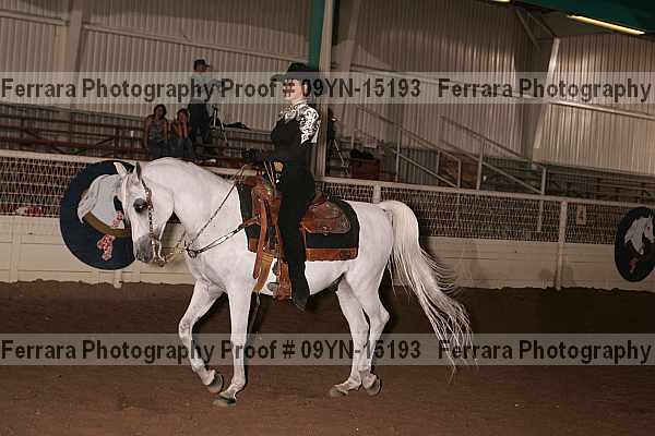 Proof 09yn-15193