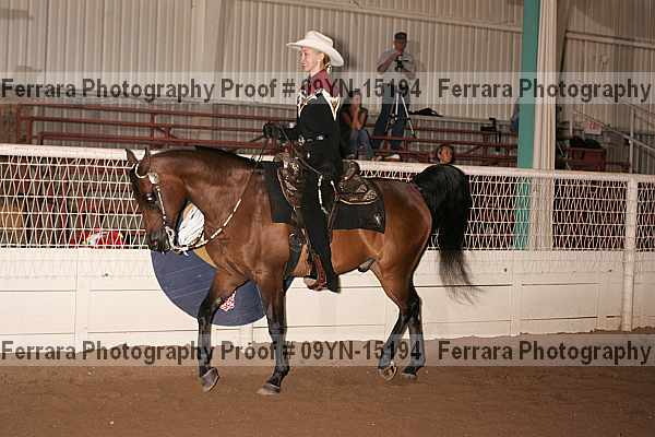 Proof 09yn-15194