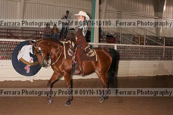 Proof 09yn-15195