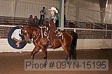 09yn-15195 proof