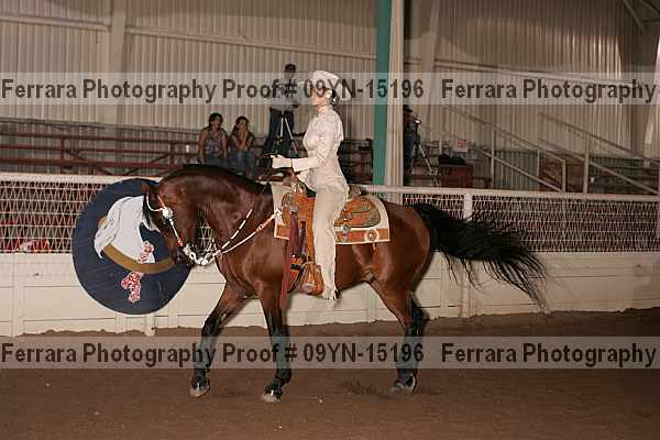 Proof 09yn-15196