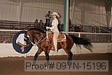 09yn-15196 proof