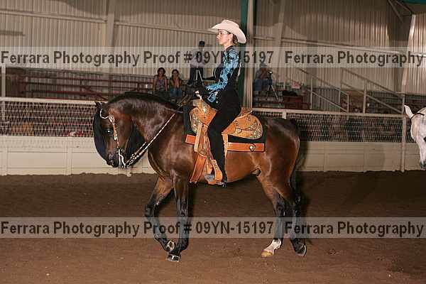 Proof 09yn-15197