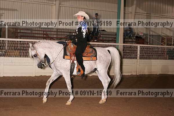 Proof 09yn-15199