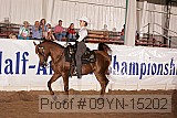 09yn-15202 proof