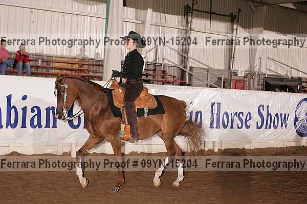 Proof 09yn-15204