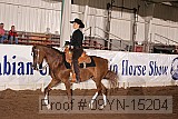 09yn-15204 proof